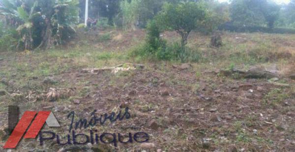 Terreno em Vicente Dutra