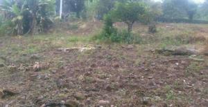 Terreno em Vicente Dutra