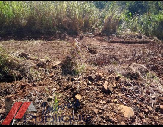 TERRENO EM PALMITINHO